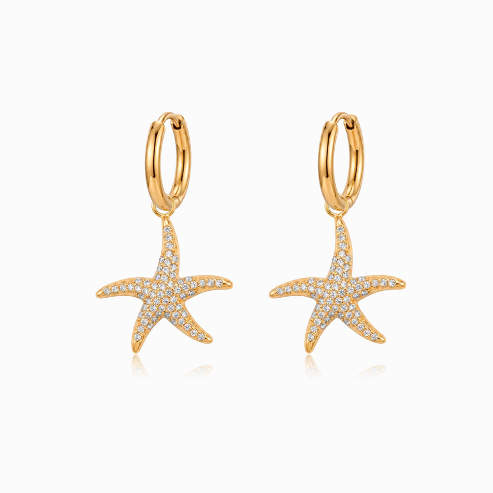 Brincos Estrela do Mar em Aço Inoxidável