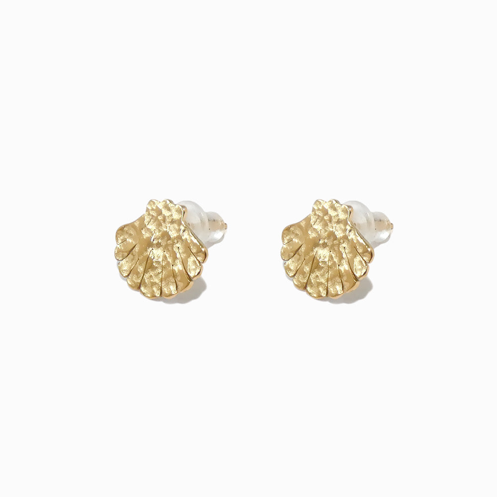 Brincos Verão Concha em Aço Inoxidável 12x11mm