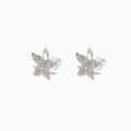 Brincos Verão Estrela do Mar em Aço Inoxidável 15x15mm