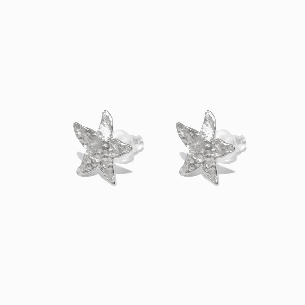 Brincos Verão Estrela do Mar em Aço Inoxidável 15x15mm