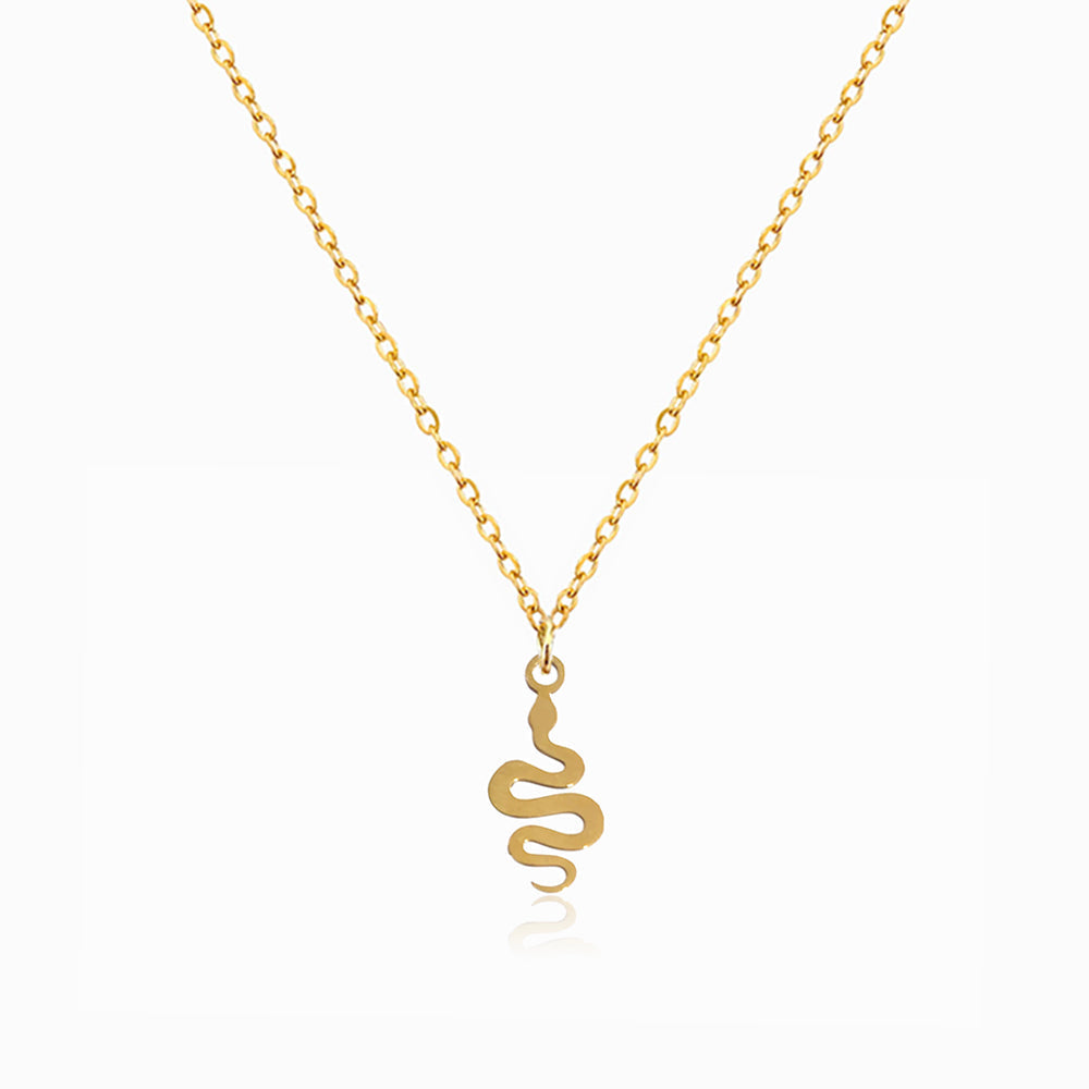 Colar Cobra em Aço Inoxidável