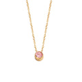 Colar com Brilhante Rosa em Aço Inoxidável